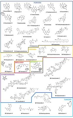 A Minireview on Biodiscovery in Antarctic Marine Benthic Invertebrates